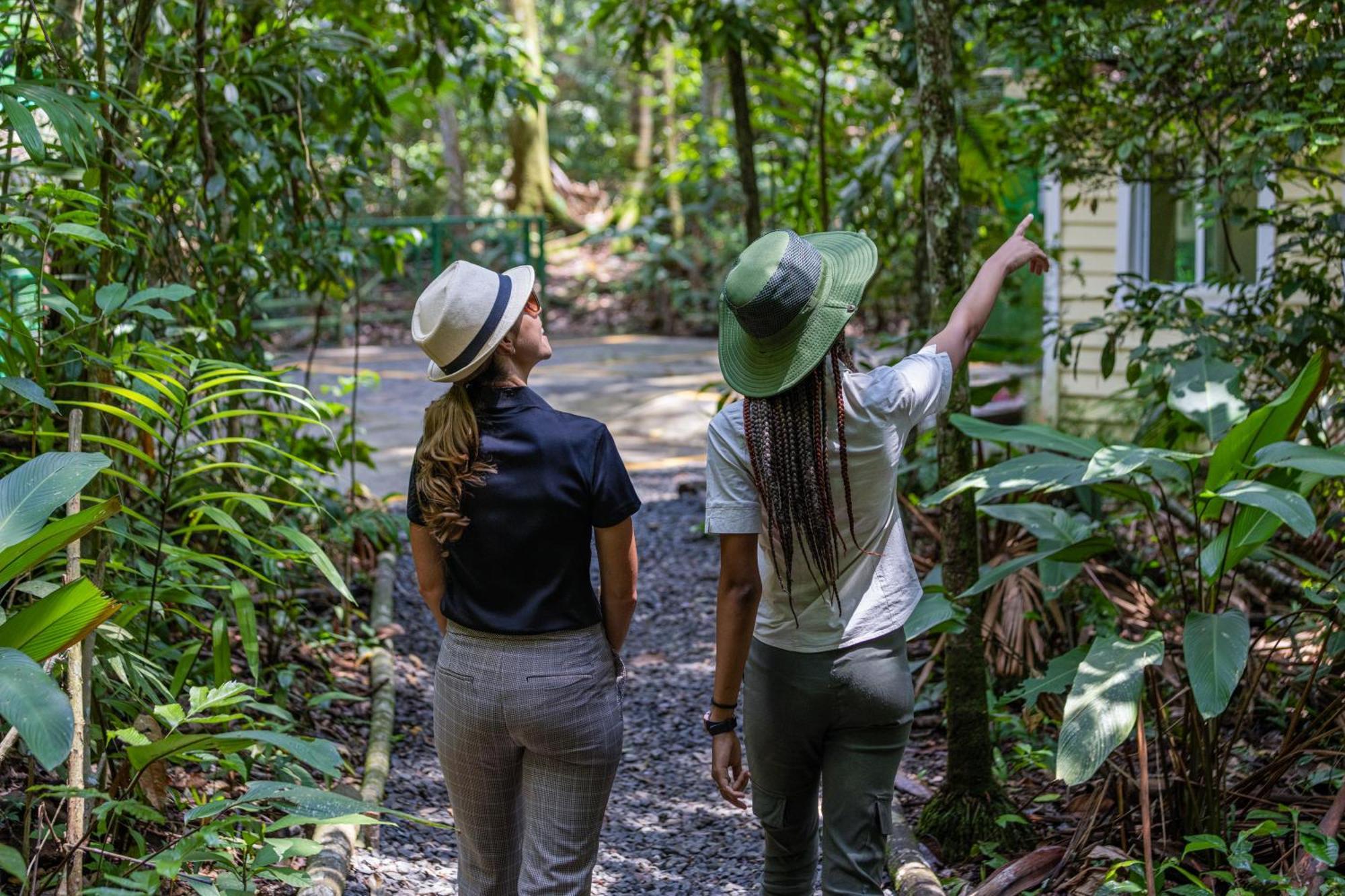 Gamboa Rainforest Reserve Exteriör bild