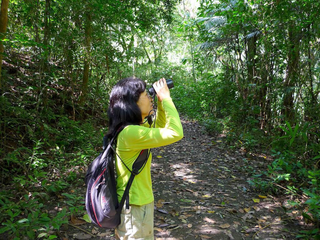 Gamboa Rainforest Reserve Exteriör bild